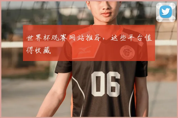 世界杯观赛网站推荐，这些平台值得收藏
