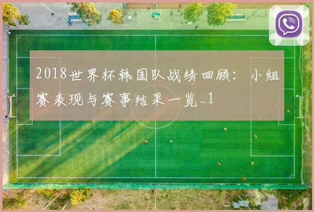 2018世界杯韩国队战绩回顾：小组赛表现与赛事结果一览_1
