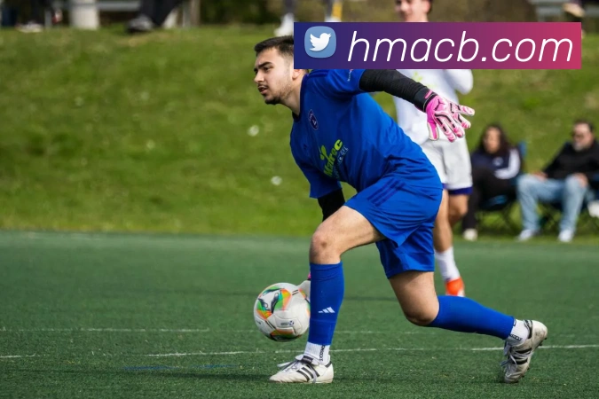 mksports官网登录APP 封面图